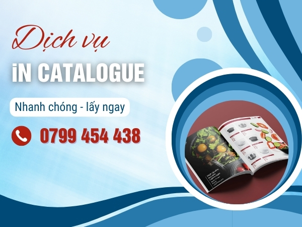 In Catalogue Tại Hải Châu Đà Nẵng Chọn Lựa Hàng Đầu Cho Doanh Nghiệp