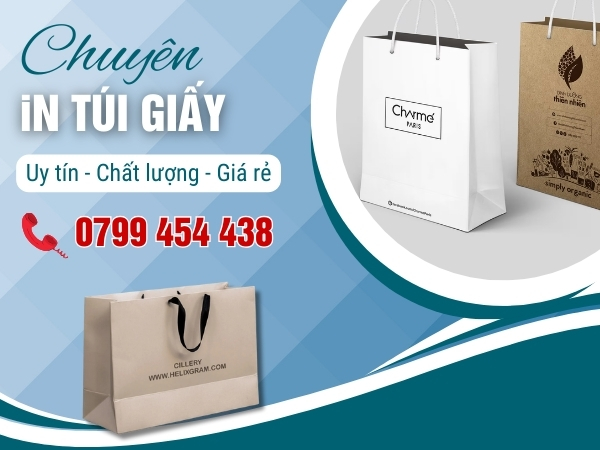Giải Pháp In Túi Giấy Quảng Ngãi Cho Các Doanh Nghiệp Khởi Nghiệp