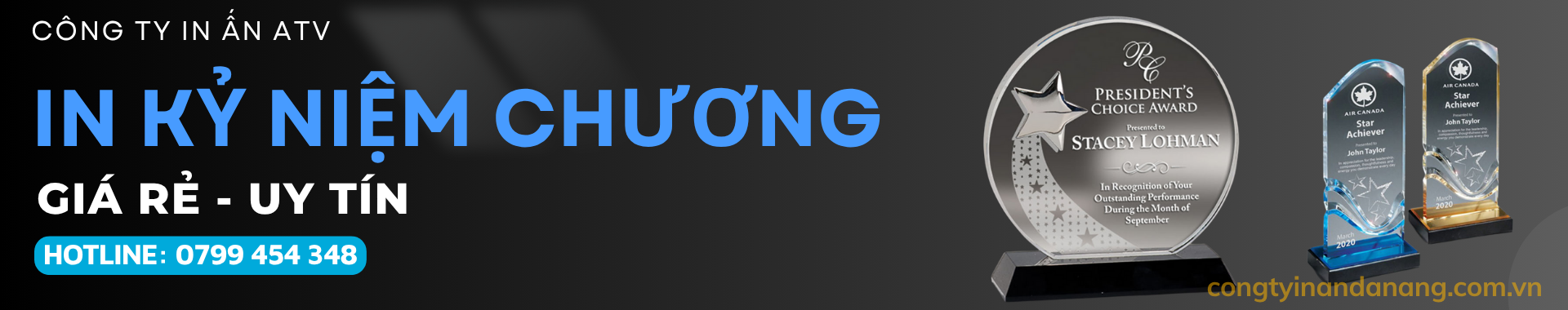 In kỷ niệm chương
